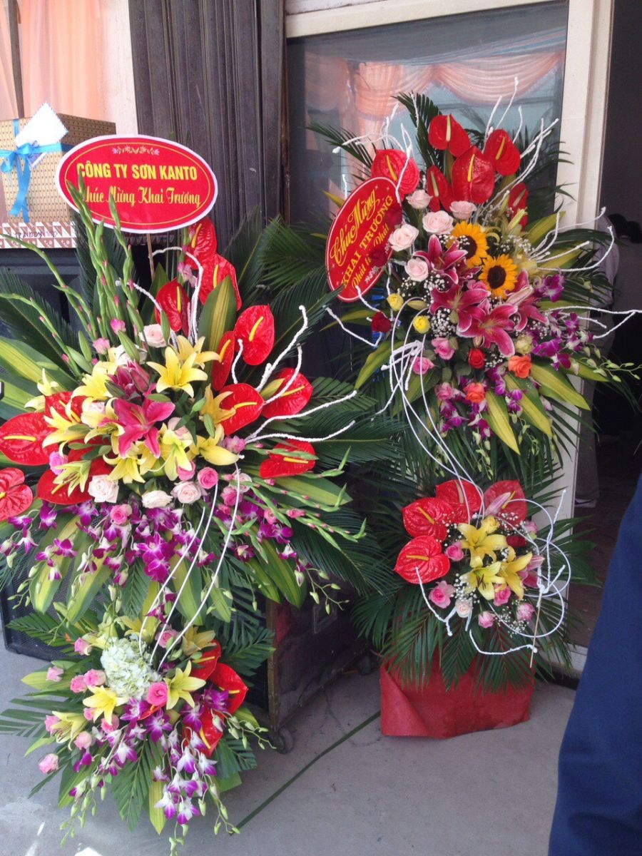 sơn kanto
